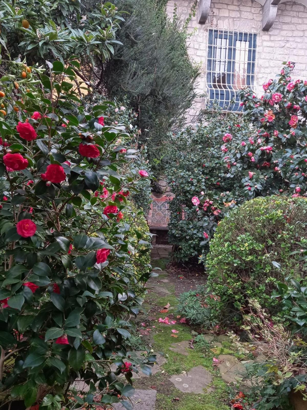 L'Antica Dimora Villa Meta Ngoại thất bức ảnh