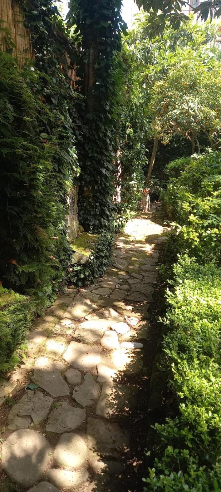 L'Antica Dimora Villa Meta Ngoại thất bức ảnh