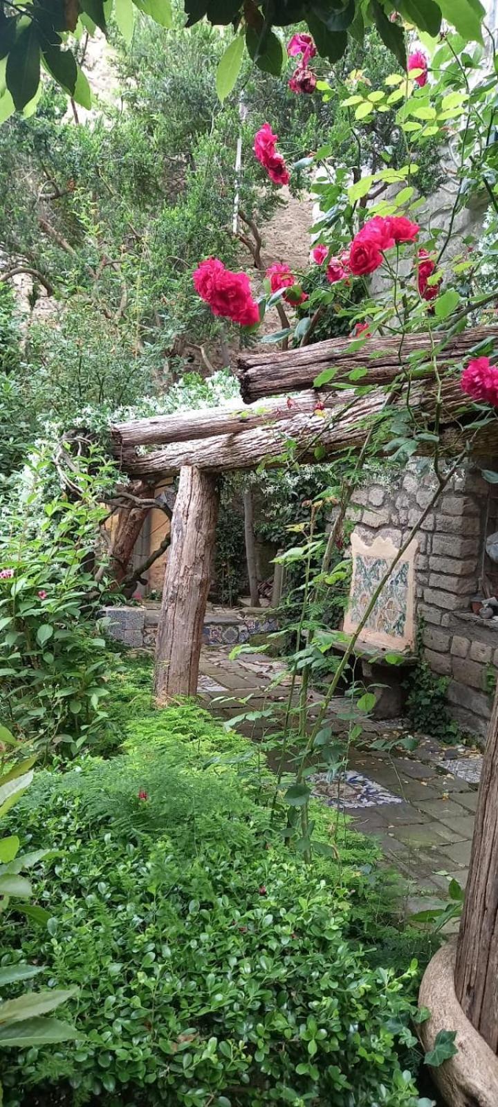L'Antica Dimora Villa Meta Ngoại thất bức ảnh