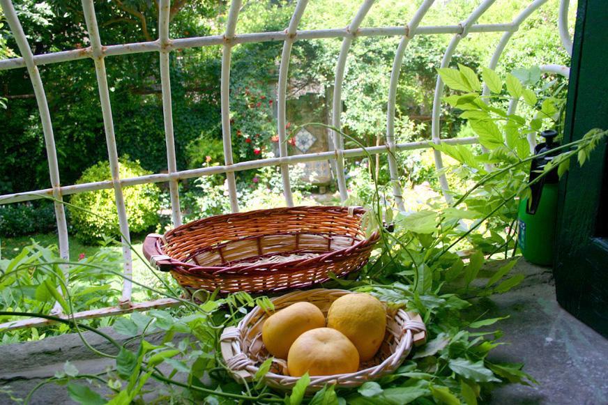 L'Antica Dimora Villa Meta Ngoại thất bức ảnh