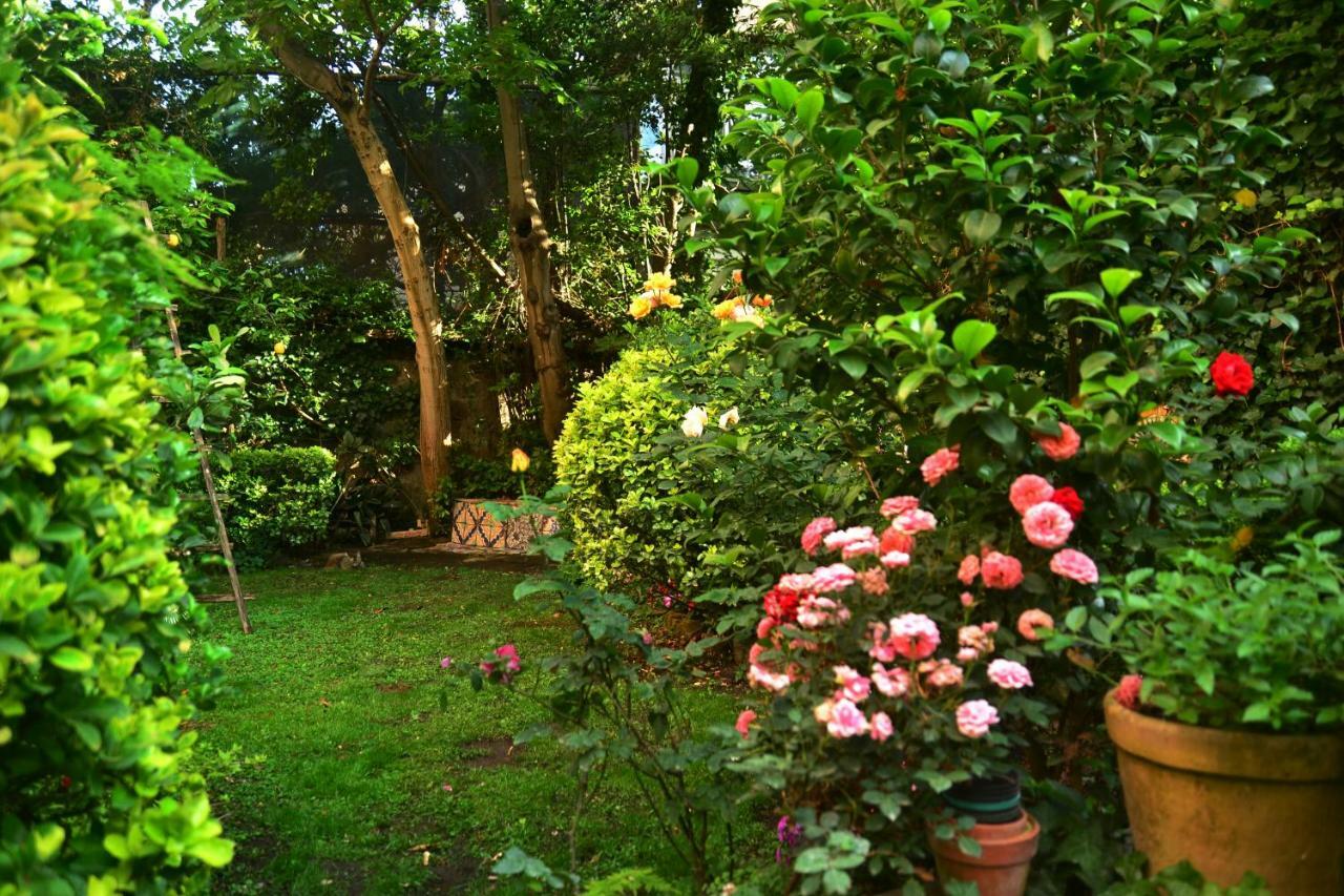 L'Antica Dimora Villa Meta Ngoại thất bức ảnh