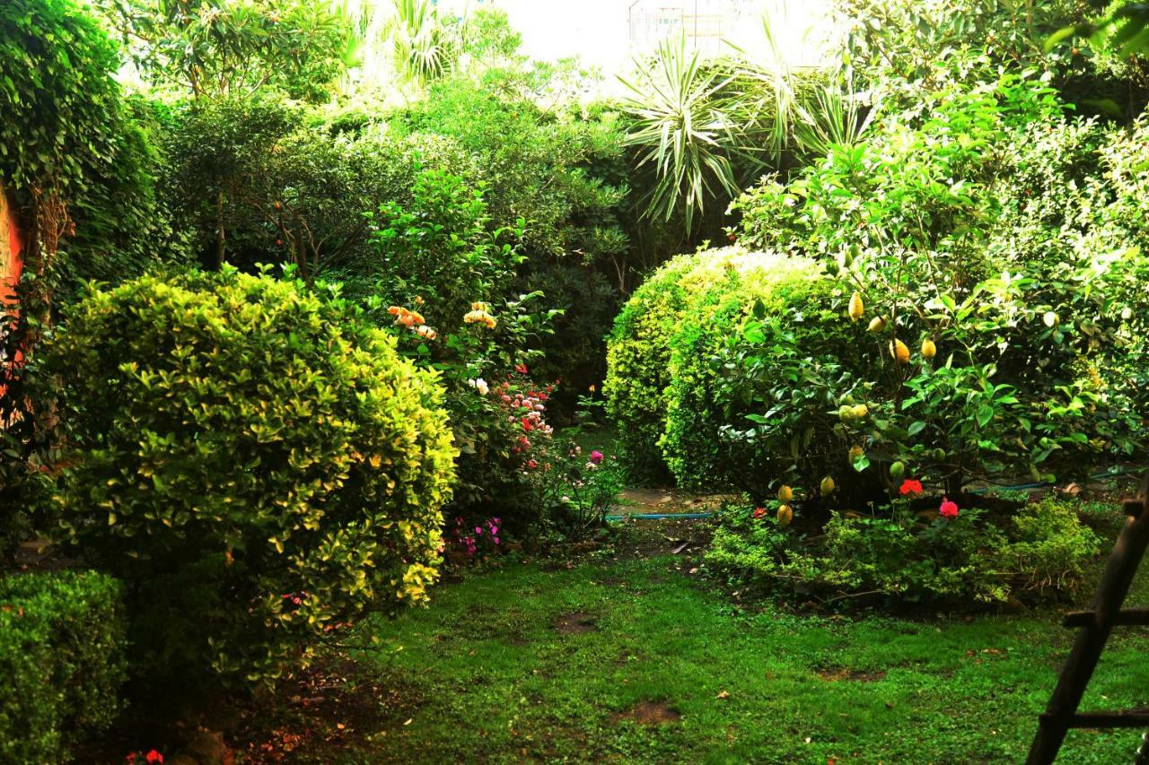 L'Antica Dimora Villa Meta Ngoại thất bức ảnh